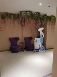 -厦门美莱整形美容医院