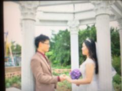 -百万葵园