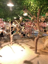 -酷嗒动物文化乐园(cutezoo西溪乐天城店)