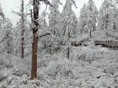 -瓦屋山景区