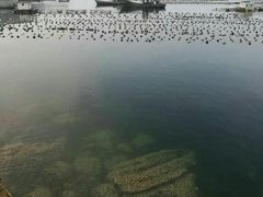 -大长山岛