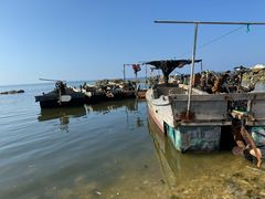 -养马岛旅游度假区