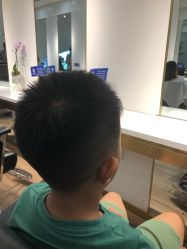 -YESIDO椰岛造型