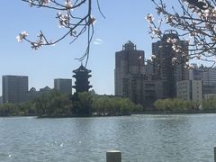 -迎泽公园