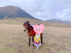 -山丹皇家马场