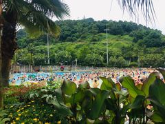 -重庆海昌加勒比海水世界
