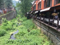 -Local泰莲庭(虹鳟鱼店)