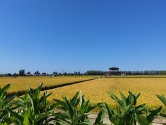 -陆地游轮吉林神农温泉