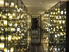 -新廊桥(原科华廊桥店)