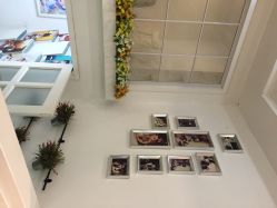 星豆豆儿童摄影(南郊花园店)-星豆豆儿童摄影(南郊太白南路店)