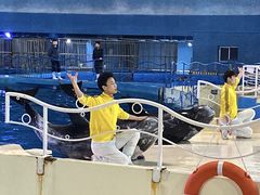 -泉城欧乐堡海洋极地世界