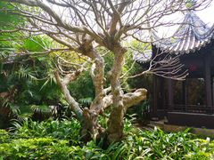 -南沙蒲洲花园