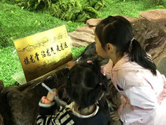 -嘉荫恐龙国家地质公园