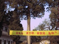 -新安江山水画廊风景区