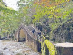 -牛背梁国家森林公园