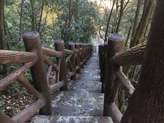 -九鲤湖风景区