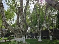 -南京中国近代史遗址博物馆(南京总统府)