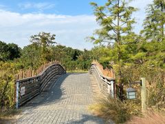 -田园东方蜜桃村的田野营地