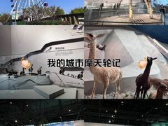 -武汉园博园(武汉自然博物馆)