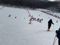 -五家山森林公园滑雪场