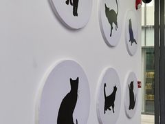 -小猫来了·猫舍(红山六九七九店)