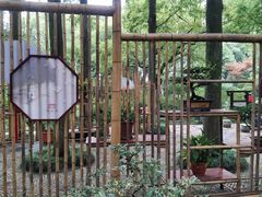 -上海醉白池公园