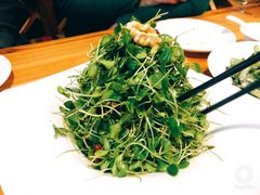 -老阿妈蒙古村·蒙古包·草原文化·歌舞表演(老君堂店)