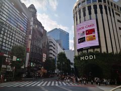 -涩谷全向十字路口