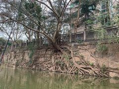 -五凤溪古镇