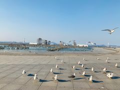 -东港音乐喷泉广场