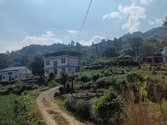 -石台牯牛降景区