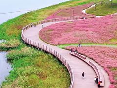 -汉长安城未央宫国家考古遗址公园