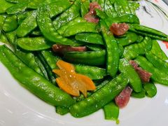 -新世纪绿洲(抚顺店)