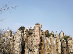 -秀丽东方