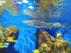 -石林冰雪海洋世界