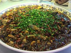 来凤鱼-新概念来凤鱼(璧山店)