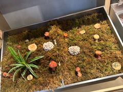 -一坐一忘云南菜(嘉里中心店)