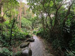 -火炉山森林公园