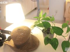 -Babycat私家御饼屋(龙头路一店)