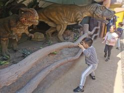 点击看大图 -宝燕乐园(闵行旗舰店)