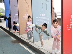 -大湾区中央湿地公园
