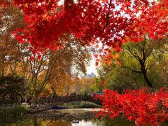 -长白岛森林公园