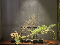 -江仙雅居(中航国际店)