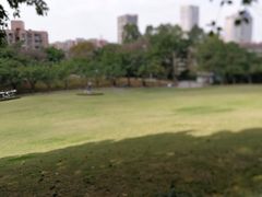 -广州雕塑公园