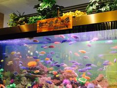 -御池园(顾村公园店)