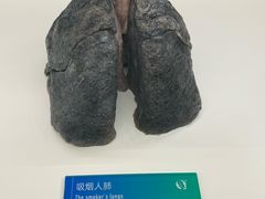 -生命奥秘博物馆