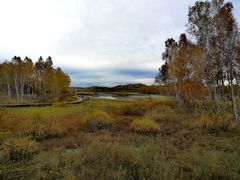 -塞罕坝国家级自然保护区