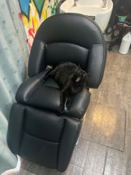 -竹马造型工作室