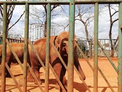 -昆明动物园