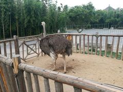 -兰陵国家农业公园